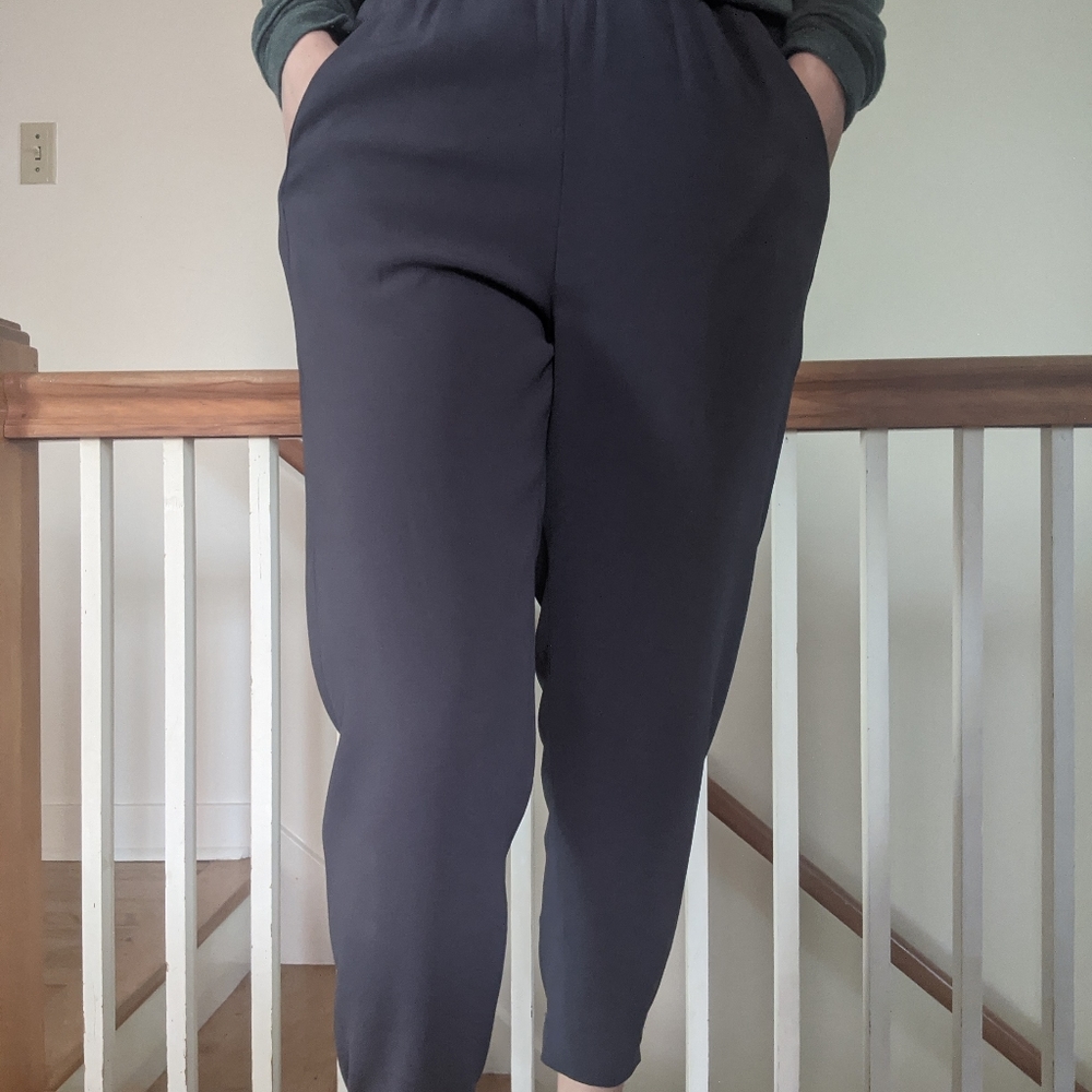NWOT Aritzia Babaton Dexter Tuxedo Pant